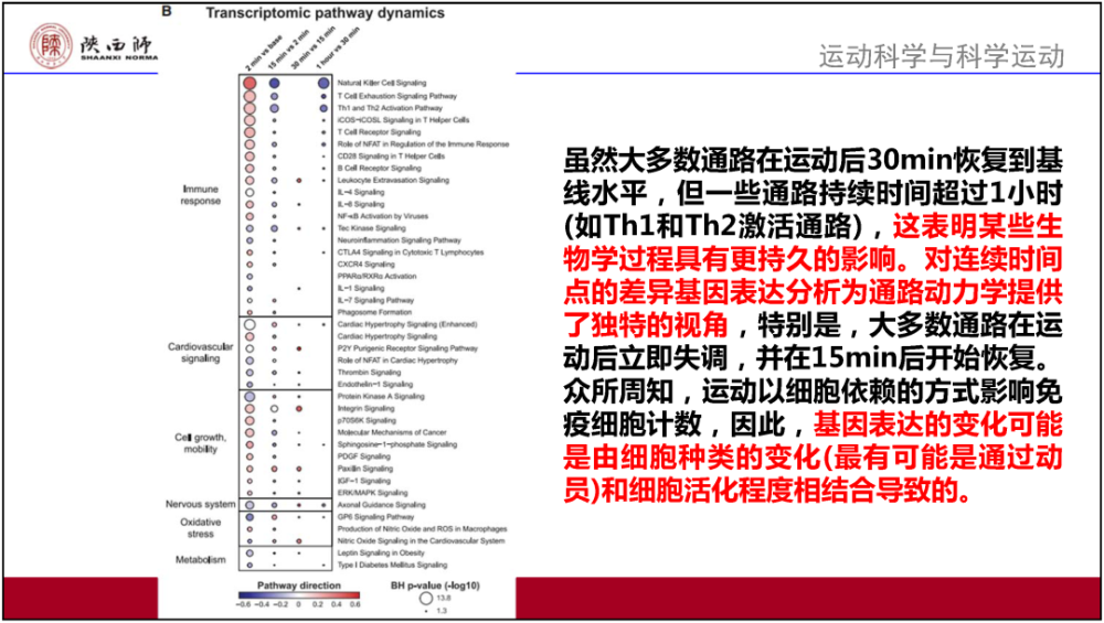 7777788888澳门,效率资料解释落实_Advanced91.841