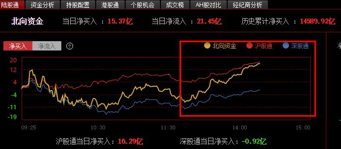 002146最新消息全面解析报告