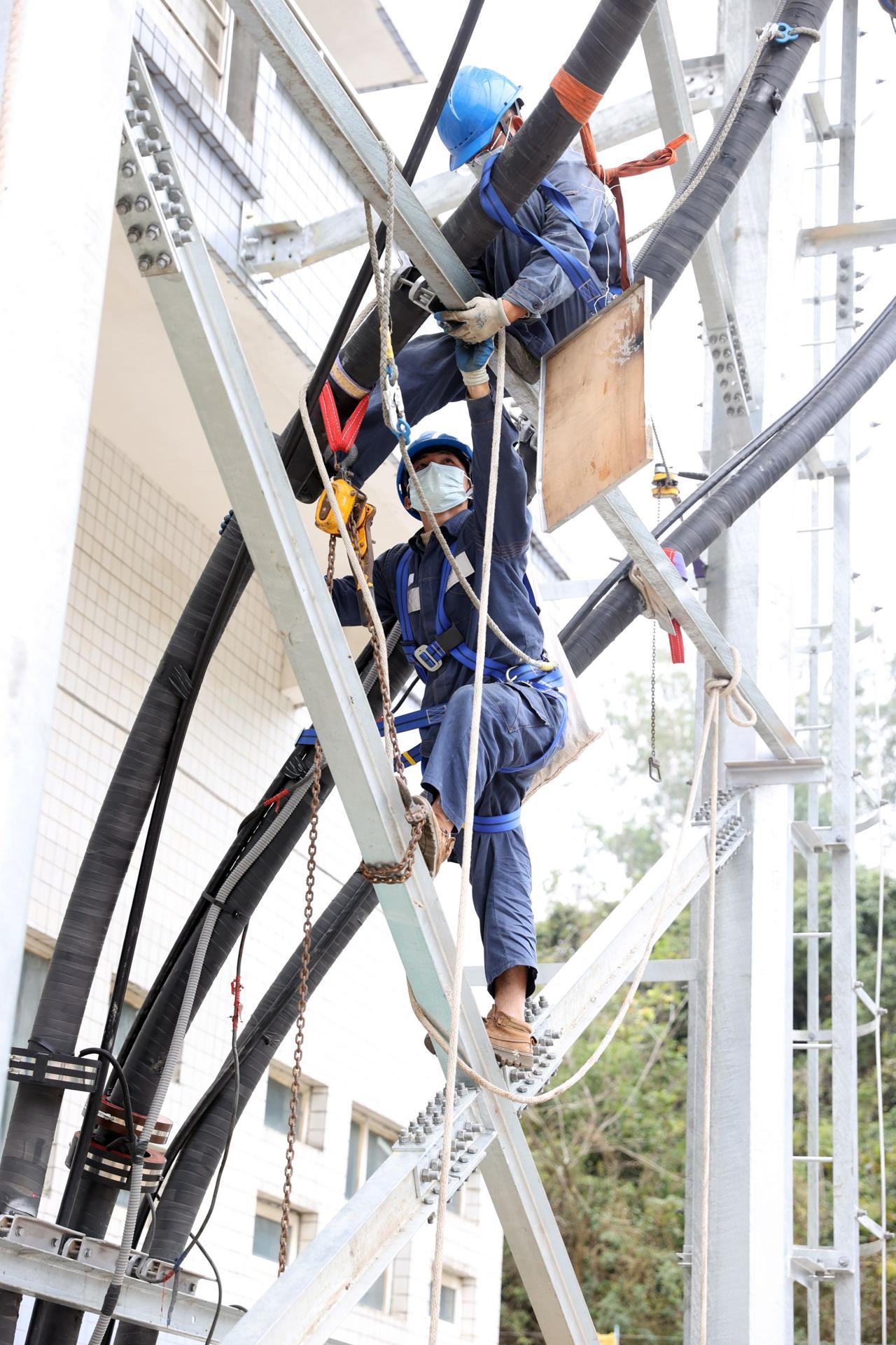 沙井奇宏最新招聘信息详解