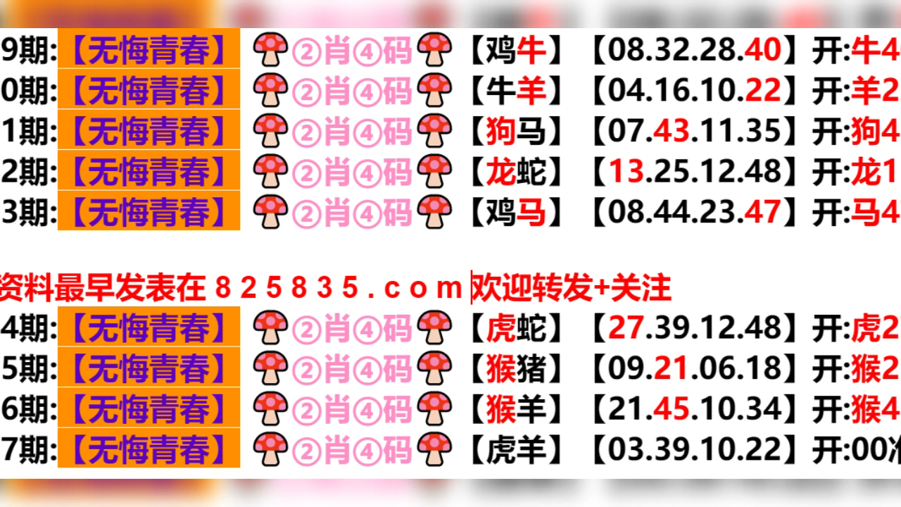 新奥门开奖记录,最新热门解答落实_粉丝版335.372