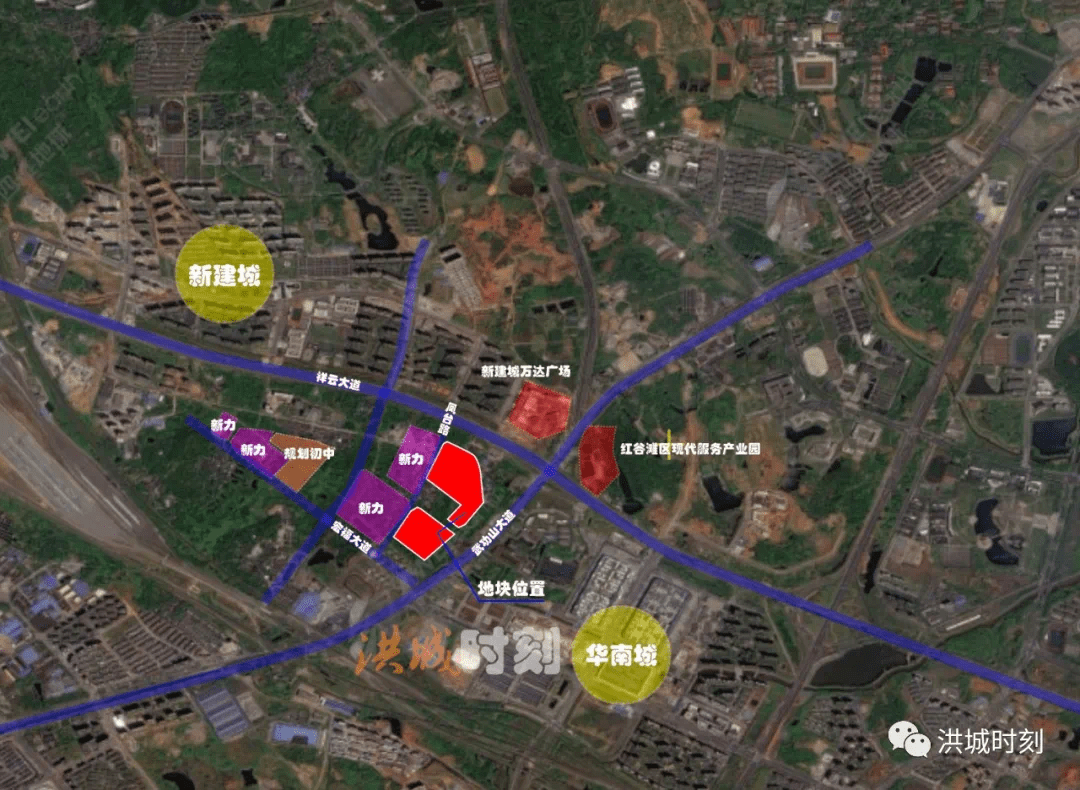 望月湖街道最新发展规划，塑造未来城市新面貌蓝图