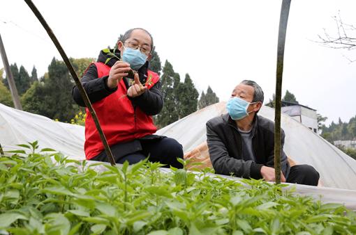 东兴区防疫检疫站最新动态报道