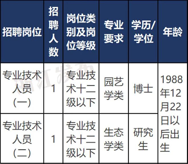 滨江区科技局最新招聘信息与职业机会深度探讨