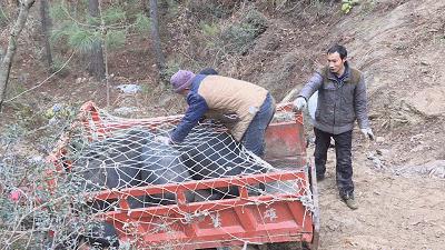 青川县防疫检疫站最新动态报道