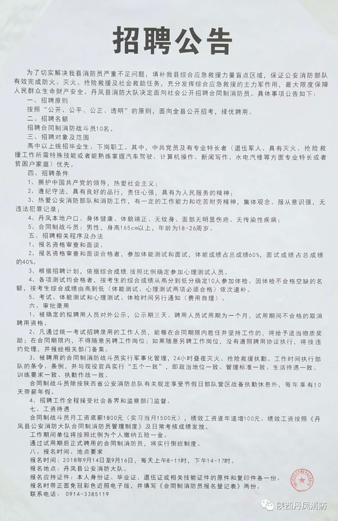 抚远县统计局最新招聘详情解析