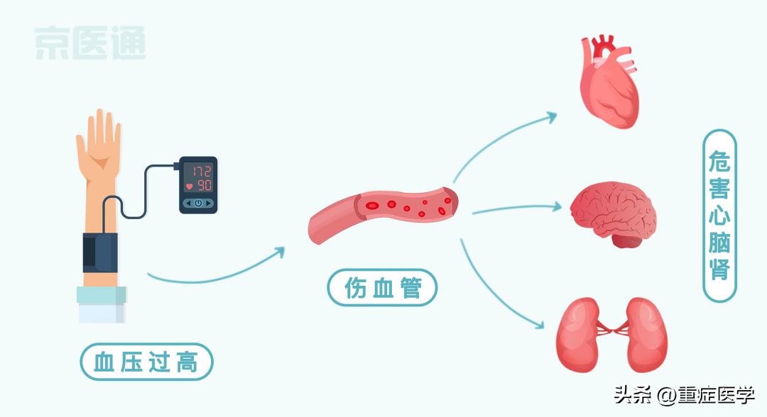 血糖最新标准值对照表及其实际应用指南