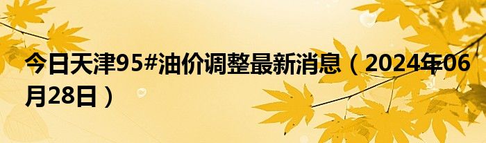 天津油价调整最新动态，影响、趋势与应对之策