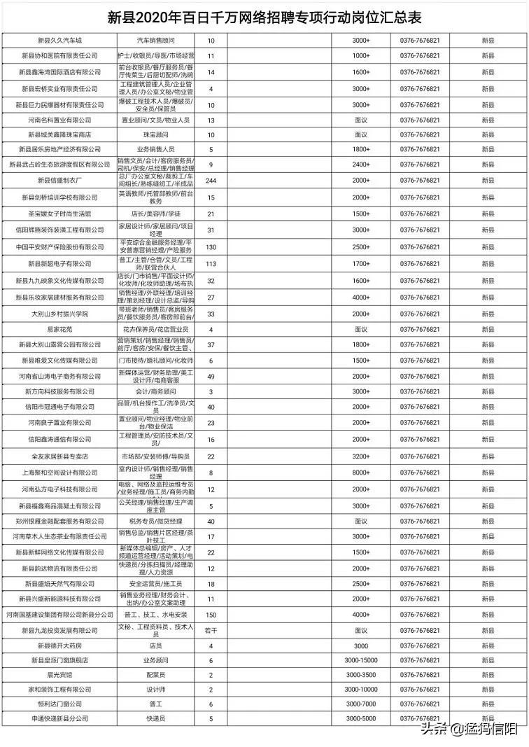 新县最新招聘动态及其社会影响分析