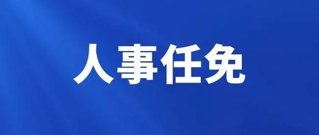 重庆新任免通知，城市发展的领航者引领新征程新篇章