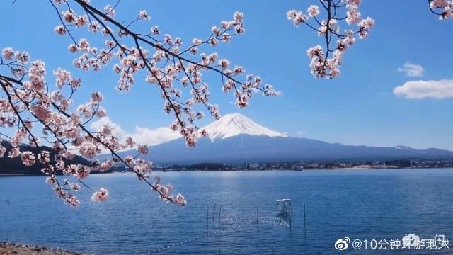 富士山今日最新动态，探索与发现之旅