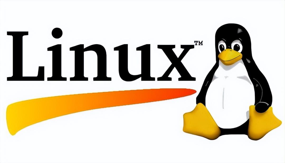 Linux内核最新版本的发展与特性概览