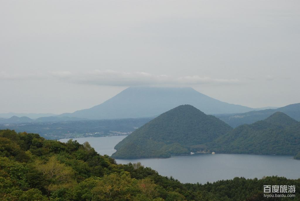 新山下载，数字时代的无限探索