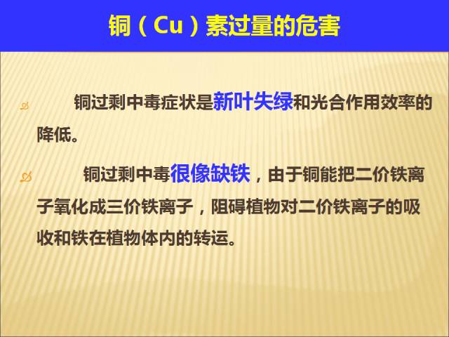 新澳精准资料期期中三码,科学基础解析说明_冒险款59.407