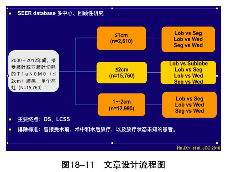 新澳准资料免费提供,统计解答解释定义_专属款40.515