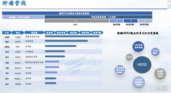 澳门2024年精准资料大全,专业研究解析说明_Surface29.775