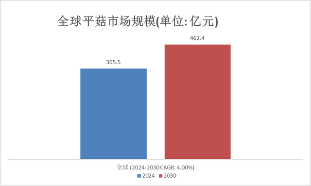 2024香港资料大全正新版,实地方案验证策略_VE版84.365