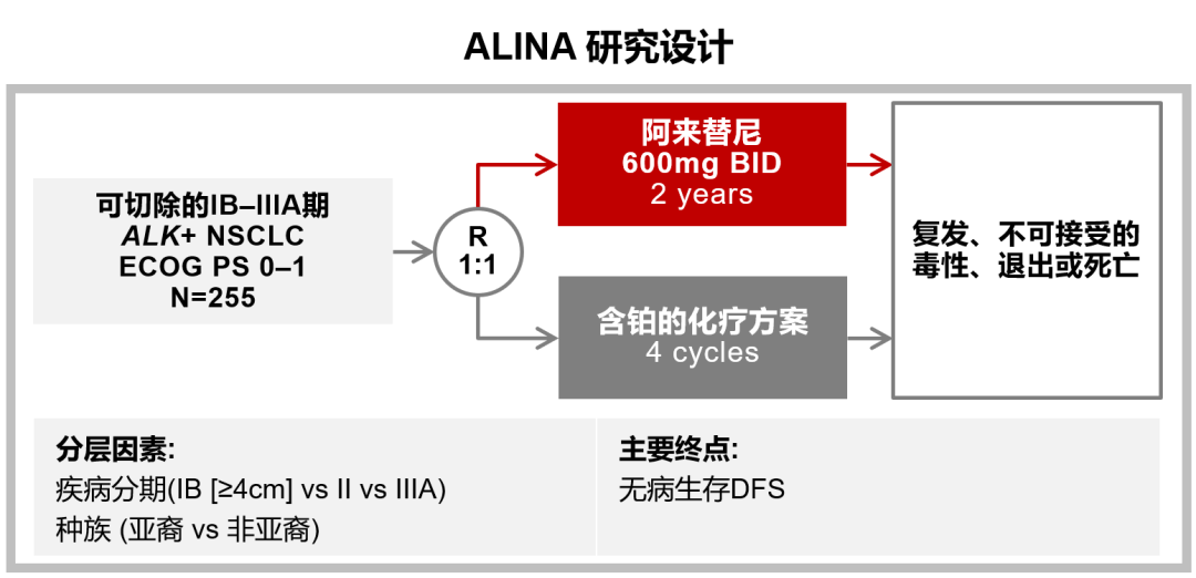 人乱AN乱Alv老人乱,定性评估说明_Holo72.438