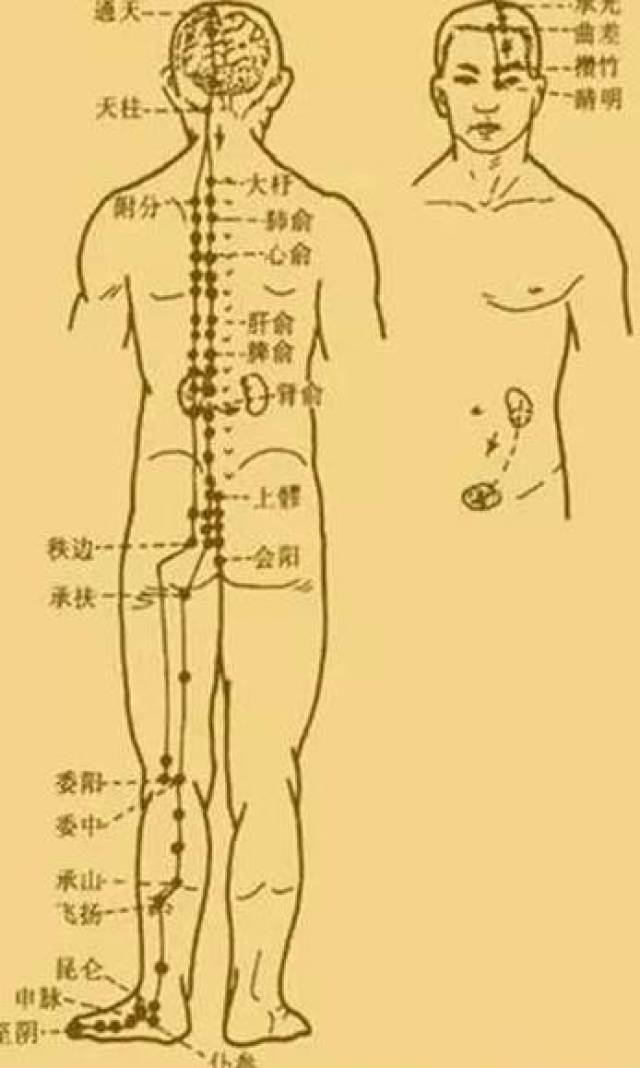 最新经络操，重塑健康的秘密武器之道