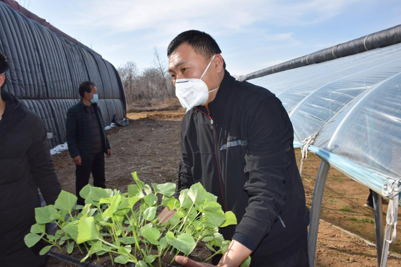 河洼村委会启动重塑乡村繁荣最新项目，迈向繁荣发展之路