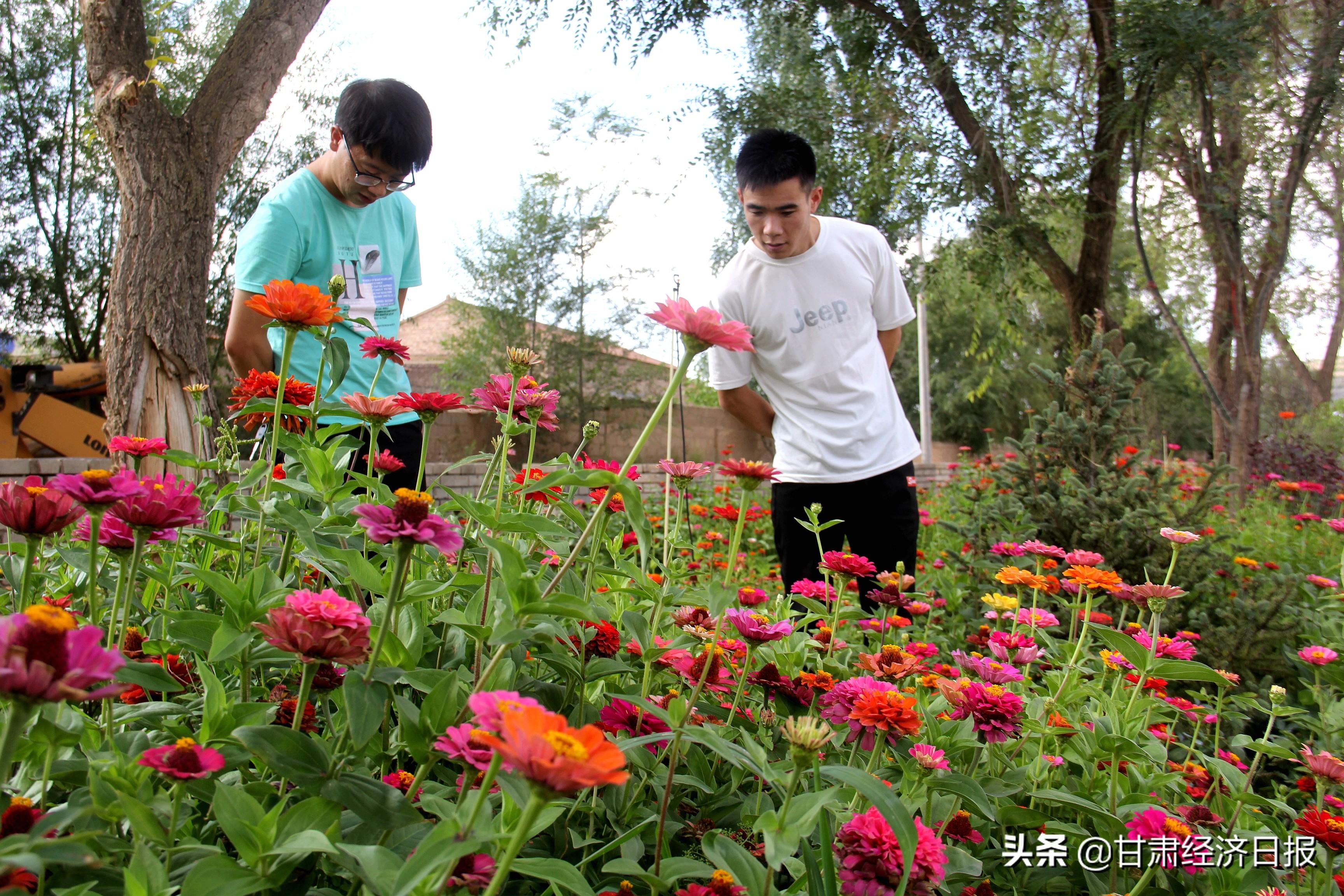 会师镇发展规划概览，未来蓝图揭秘