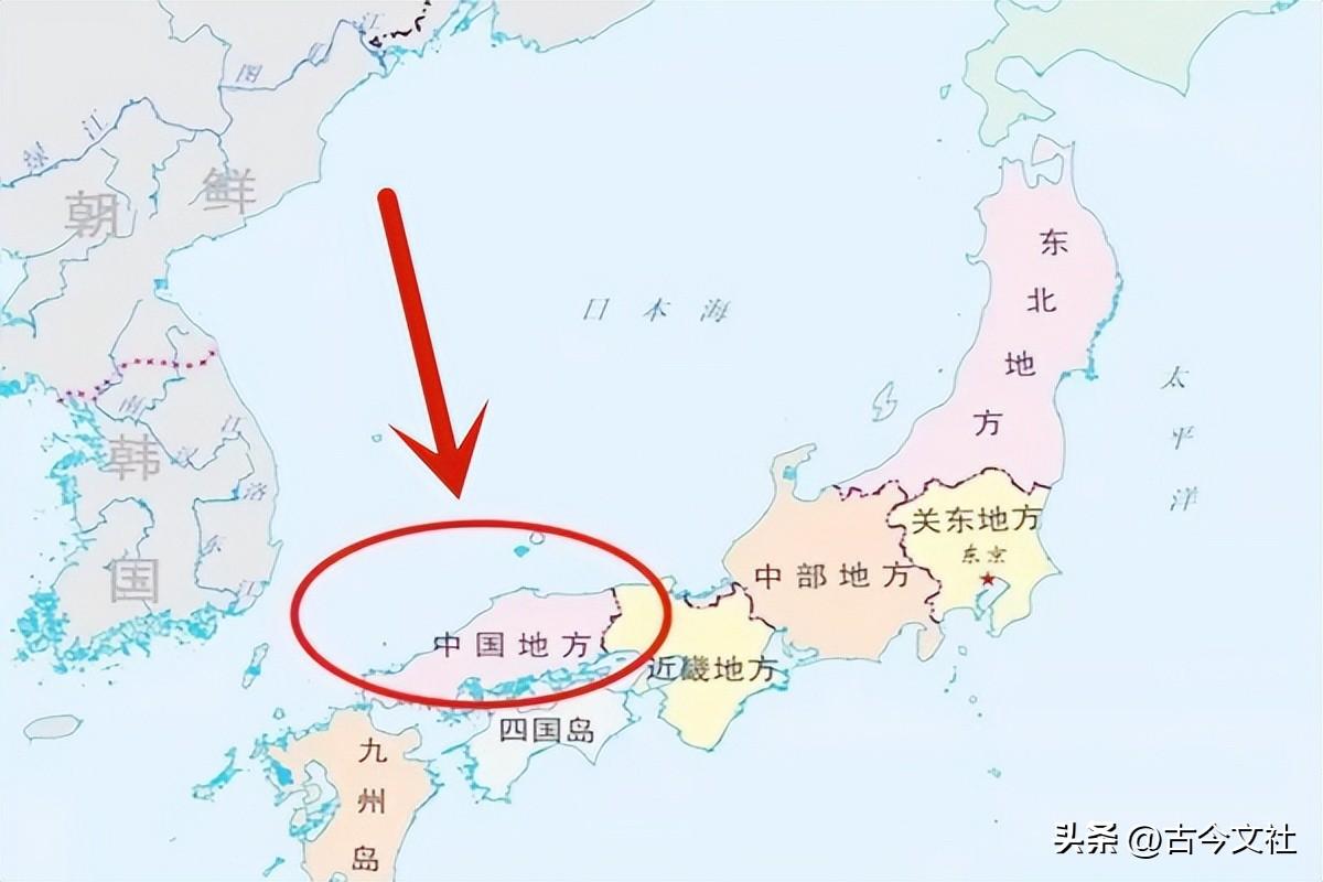 山阳县文化广电体育旅游局人事任命，地方文化广电体育事业迎新篇章