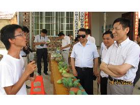 田阳县科技局最新动态报道