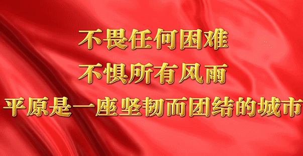 平原县成人教育事业单位最新项目探索与实践的成果与启示