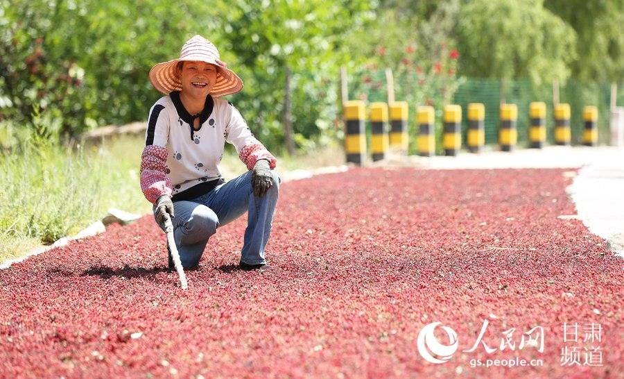 积石山保安族东乡族撒拉族自治县图书馆招聘启事