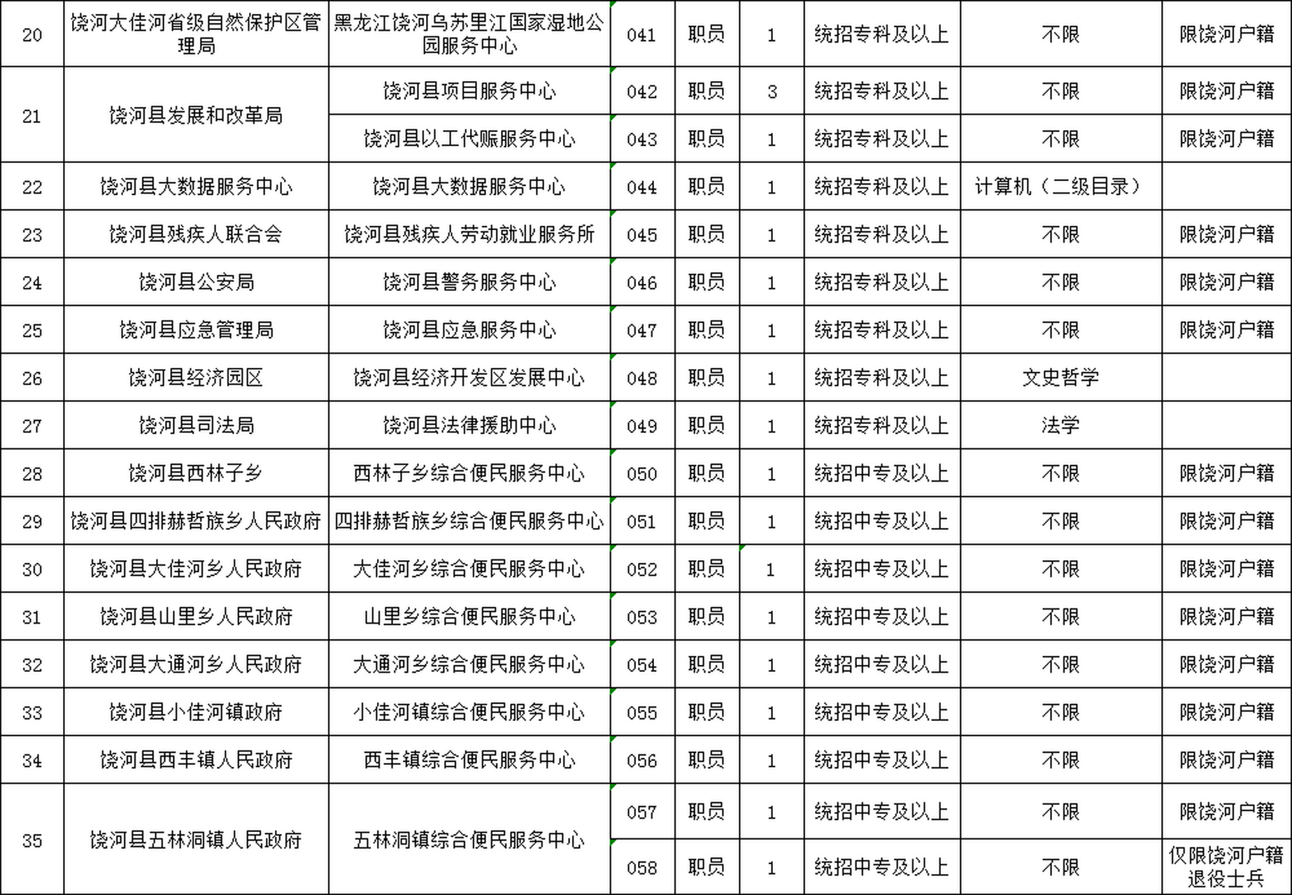 北湖区数据和政务服务局招聘启事，最新职位与职责概览